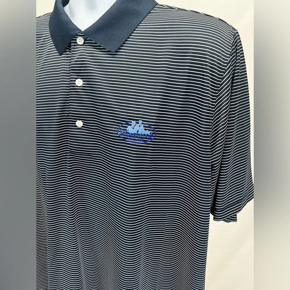 PAGE & TUTTLE Men’s navy stripe golf polo‎ size XL - Picture 2 of 12